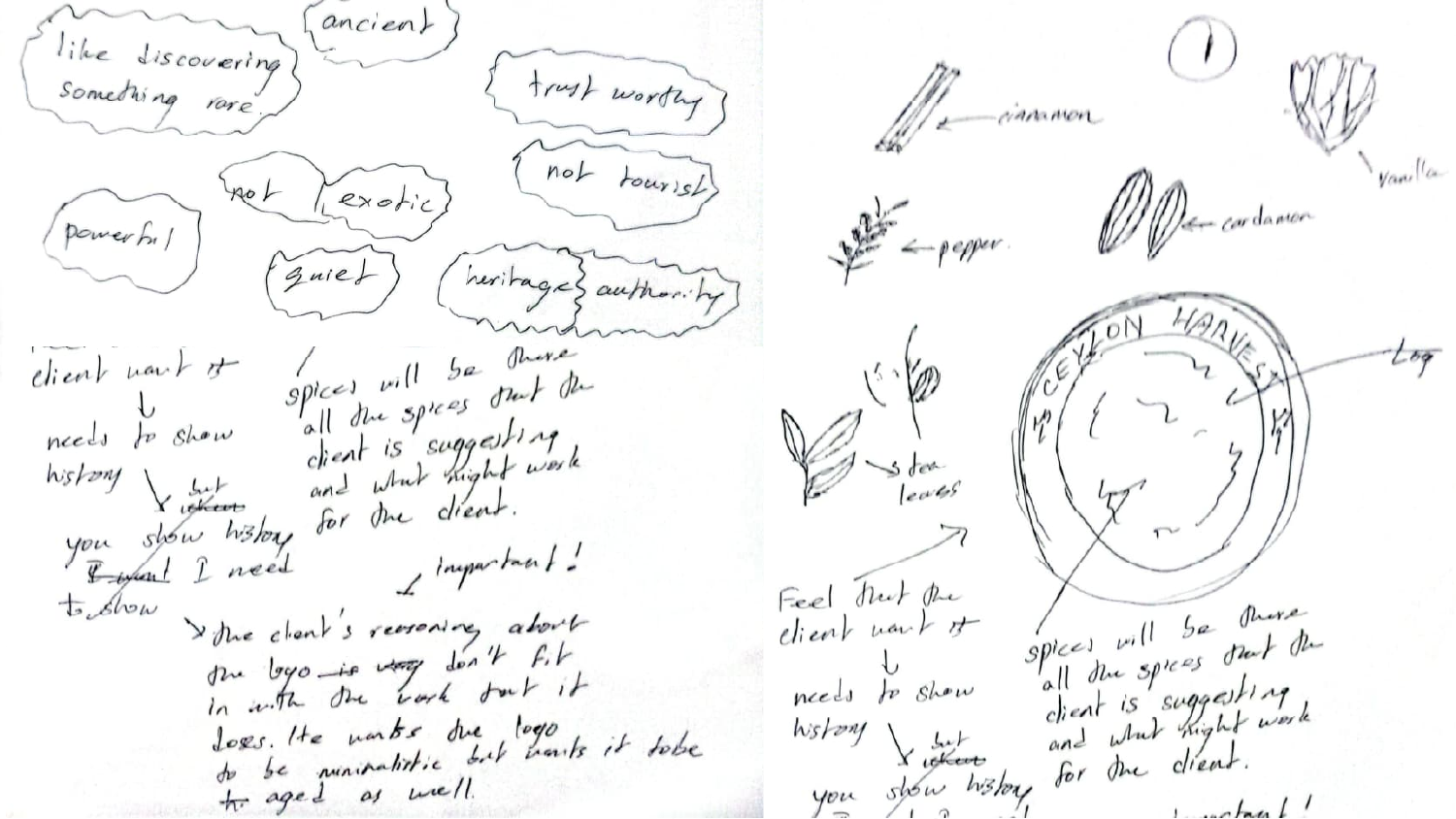 Mood words describing the brief, ancient, trustworthy, quiet, not exotic, heritage authority, alongside first sketches of cinnamon, pepper, cardamom, vanilla and tea leaves, and an early circular seal layout